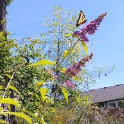 Tumwater Hill Park - Tumwater