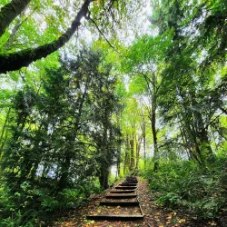 Tumwater Hill Park - Tumwater