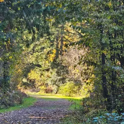 Tumwater Hill Park - Tumwater