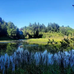 Tumwater Historical Museum - Tumwater