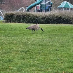 Tumwater Historical Museum - Tumwater