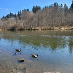 Tumwater Historical Park - Tumwater
