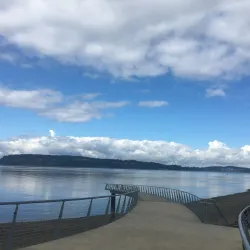 Chambers Bay Golf Course - University Place