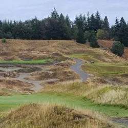 Chambers Bay Golf Course - University Place