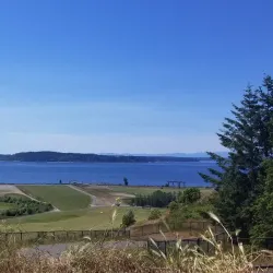 Chambers Bay Golf Course - University Place