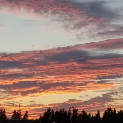 Cirque Park - University Place