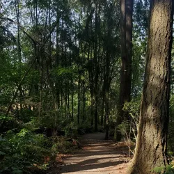 Cirque Park - University Place