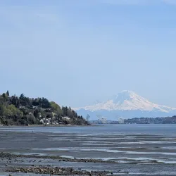 Discovery Park - University Place