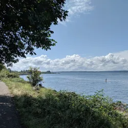 Discovery Park - University Place