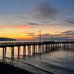 Redondo Beach Park - University Place