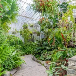 Wright Park Arboretum - University Place