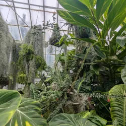 Wright Park Arboretum - University Place