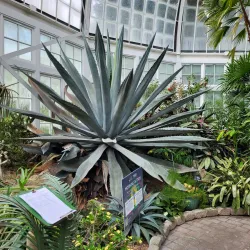 Wright Park Arboretum - University Place