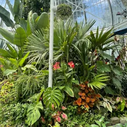 Wright Park Arboretum - University Place