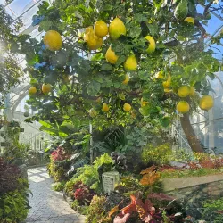 Wright Park Arboretum - University Place