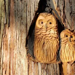 Columbia Springs Environmental Education Center - Vancouver