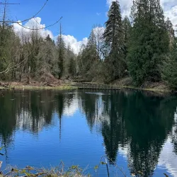 Columbia Springs Environmental Education Center - Vancouver