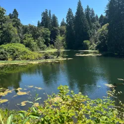 Columbia Springs Environmental Education Center - Vancouver