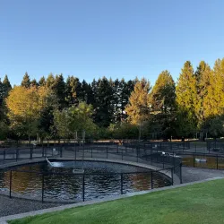 Columbia Springs Environmental Education Center - Vancouver