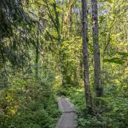 Columbia Springs Environmental Education Center - Vancouver