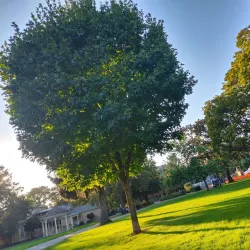 Esther Short Park - Vancouver