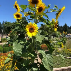 Fort Vancouver National Historic Site - Vancouver