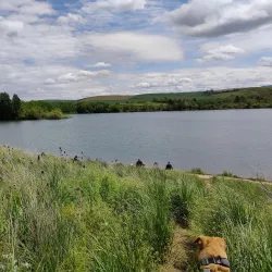 Bennington Lake - Walla Walla