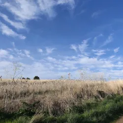 Bennington Lake - Walla Walla