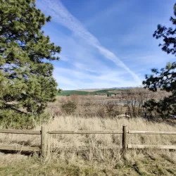 Bennington Lake - Walla Walla