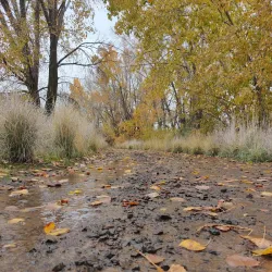 Bennington Lake - Walla Walla