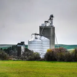 Downtown Walla Walla - Walla Walla