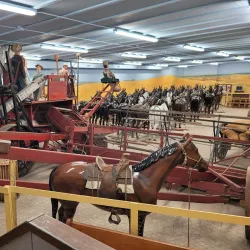 Fort Walla Walla Museum - Walla Walla