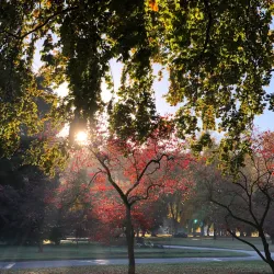 Pioneer Park - Walla Walla