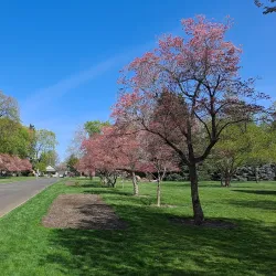 Pioneer Park - Walla Walla