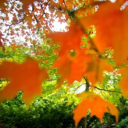 Whitman College - Walla Walla