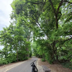 Apple Capital Loop Trail - Wenatchee