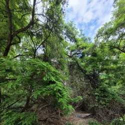 Apple Capital Loop Trail - Wenatchee