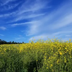 Fort Casey Historical State Park - Whidbey Island