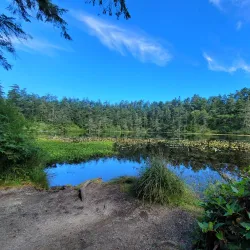 Fort Ebey State Park - Whidbey Island
