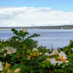 Langley - Whidbey Island