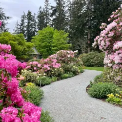 Meerkerk Rhododendron Gardens - Whidbey Island