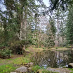 Meerkerk Rhododendron Gardens - Whidbey Island