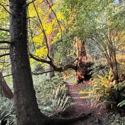 South Whidbey State Park - Whidbey Island