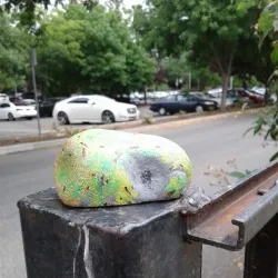 Woodland Farmers Market - Woodland