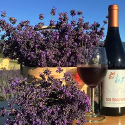 Mariposa Vineyard & Winery - Yakima