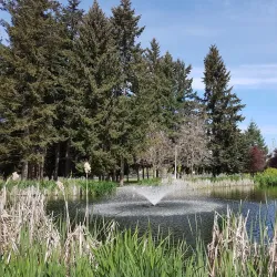 Mill Pond Park - Yelm