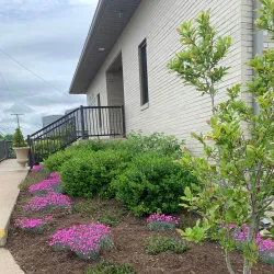 Beckley Art Center - Beckley