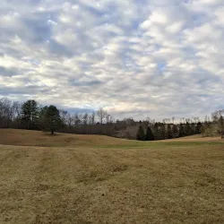 Daniel Vineyards - Beckley