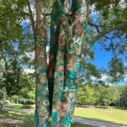 Daniel Vineyards - Beckley