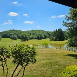 Daniel Vineyards - Beckley